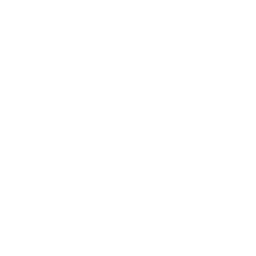 Happy Pig Icon
